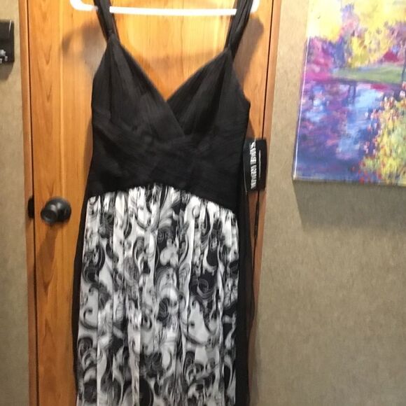 NWT Mary Bays/Victorian Royal Co.  Silk Dress Women’s Size 8. Black and White - Picture 1 of 12
